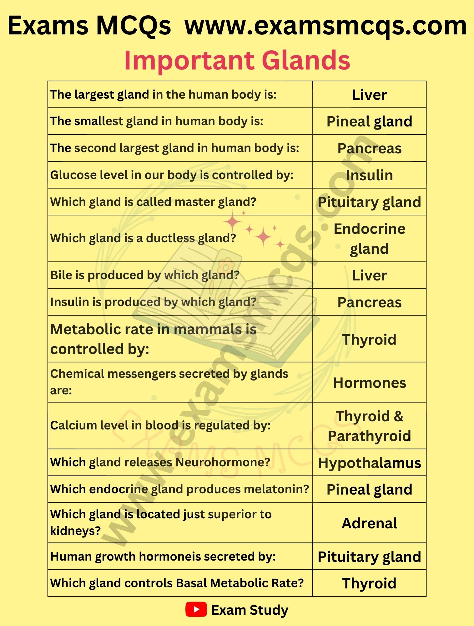 Important Glands - Exams MCQS